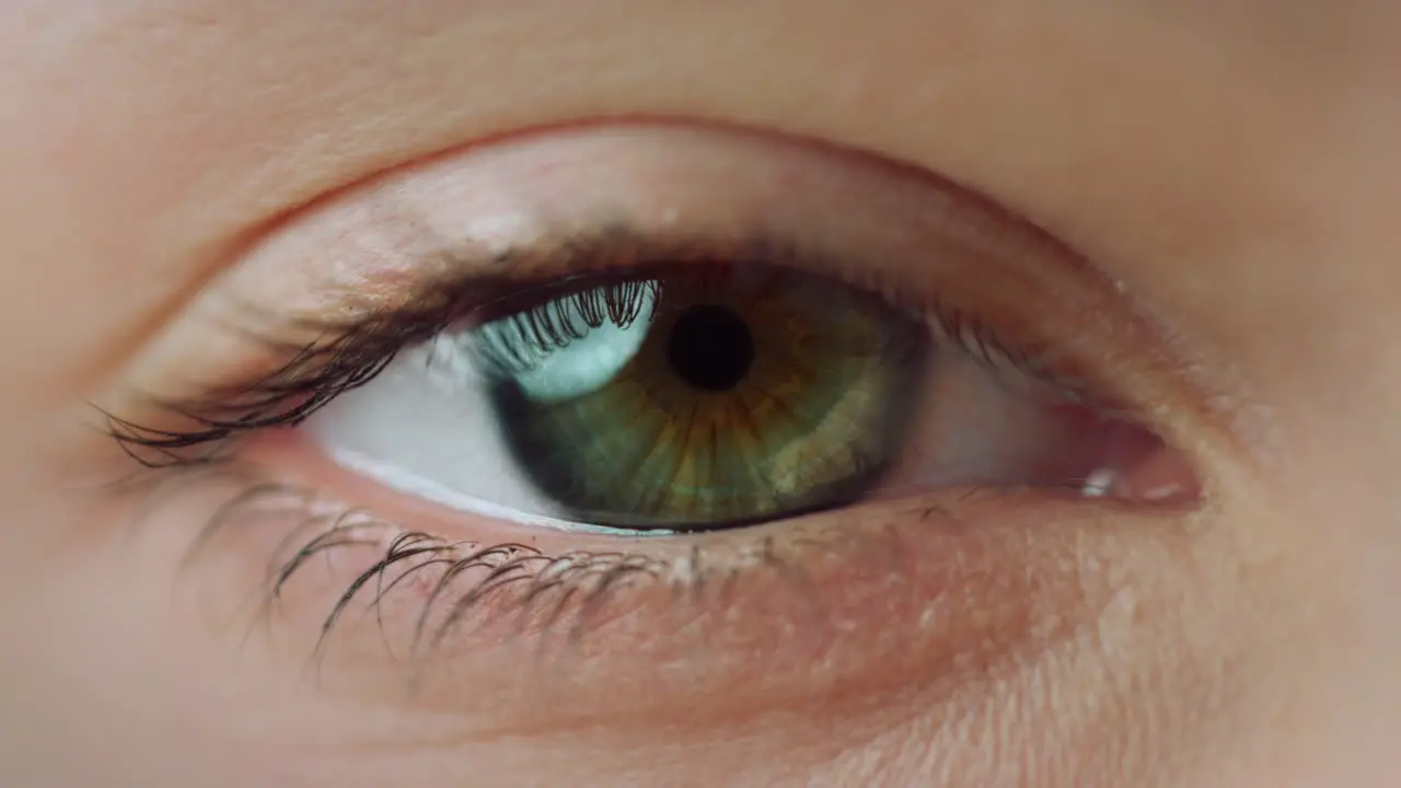 Macro camera motion of woman eye staring at camera Close up of female eye