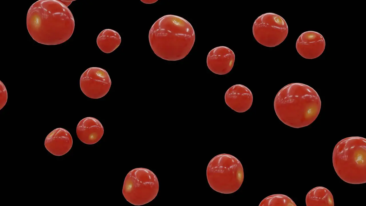 Salad Tomatoes Falling on Black Screen With Alpha Matte