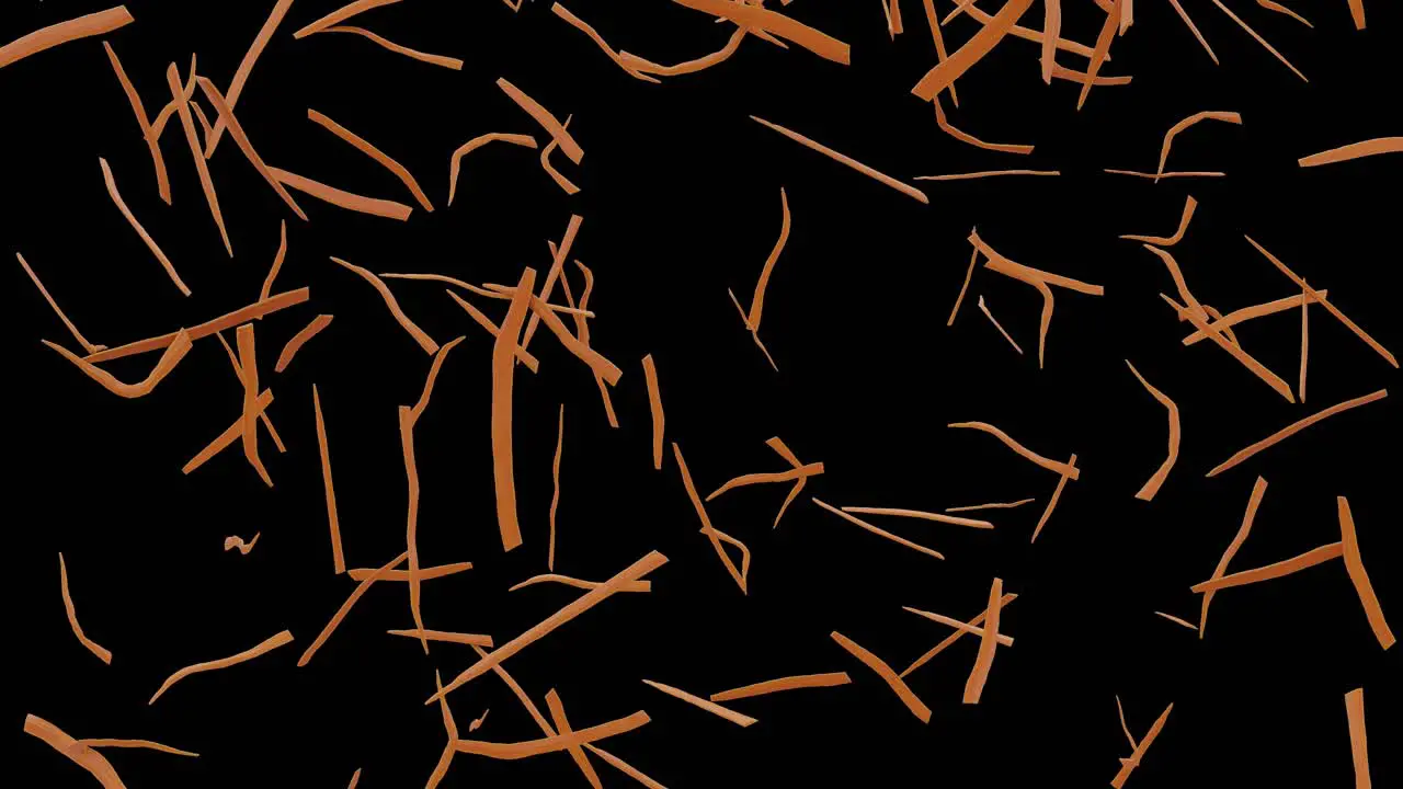 Peeled and Chopped Carrots Falling on 4K Screen With Alpha Matte