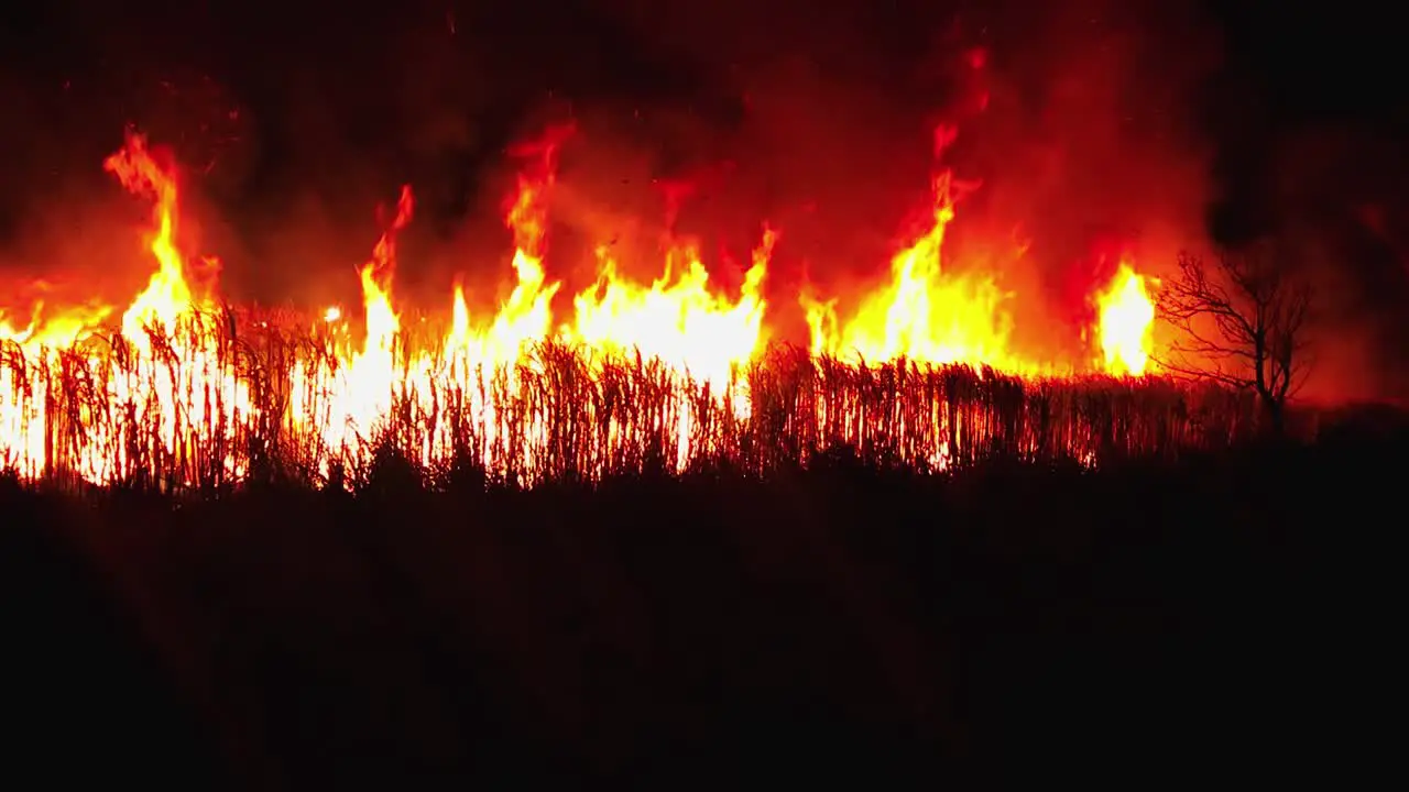 Burning cane field in Ameca Jalisco Mexico