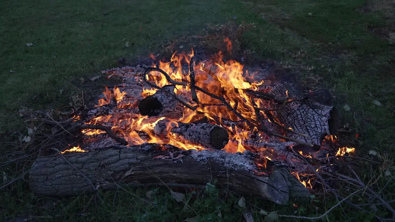 Flames of camp fire burning in cinematic slow motion