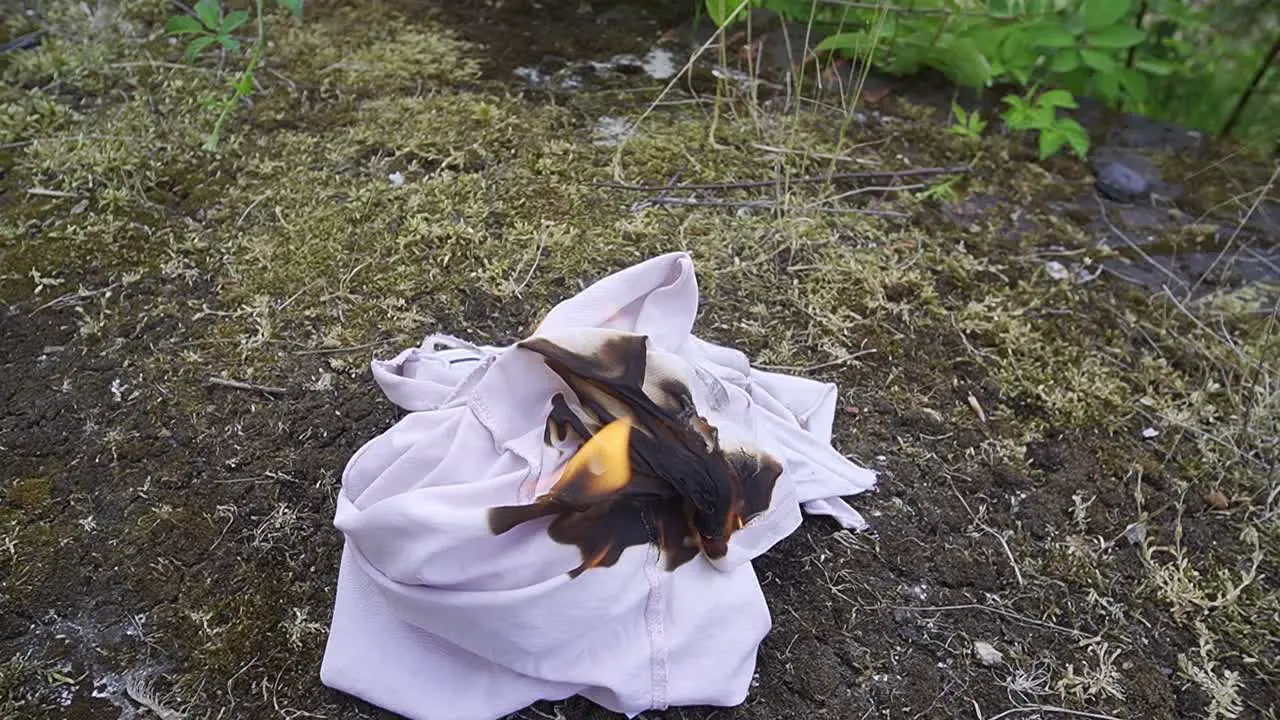 Burning shirt on some moss in front of an abandoned building