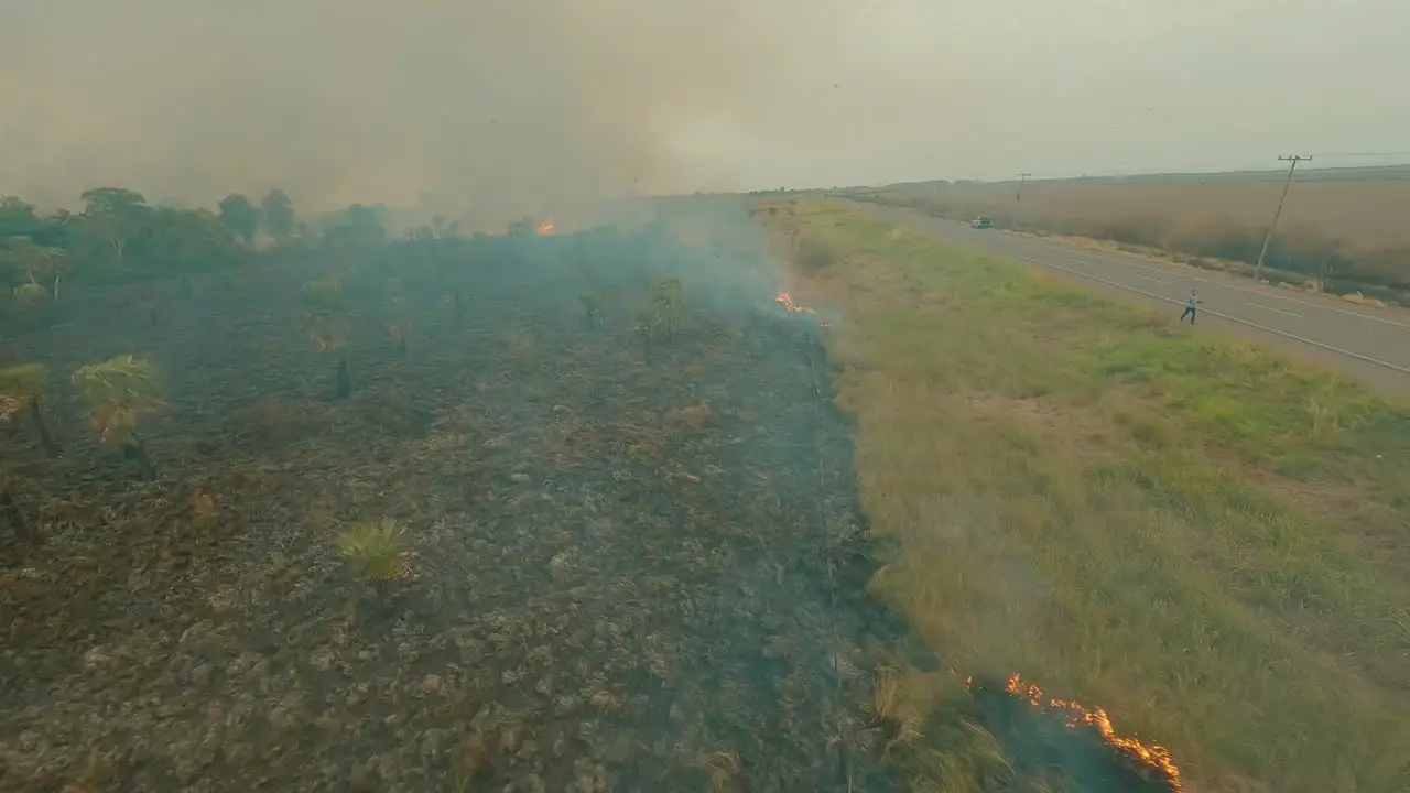 flying through burning grassland drone FPV flames burn farmland cultivation smoke and big flames fire burning grass overview shot fireline aerial flight forest fire 4k road bushes palmtrees