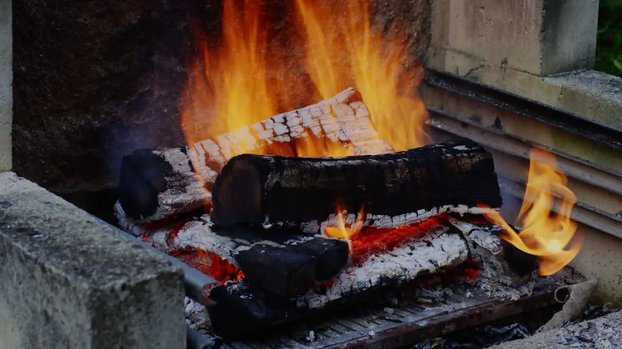 In the close-up shot a section of the tree is engulfed in flames transforming into glowing embers and forming charcoal