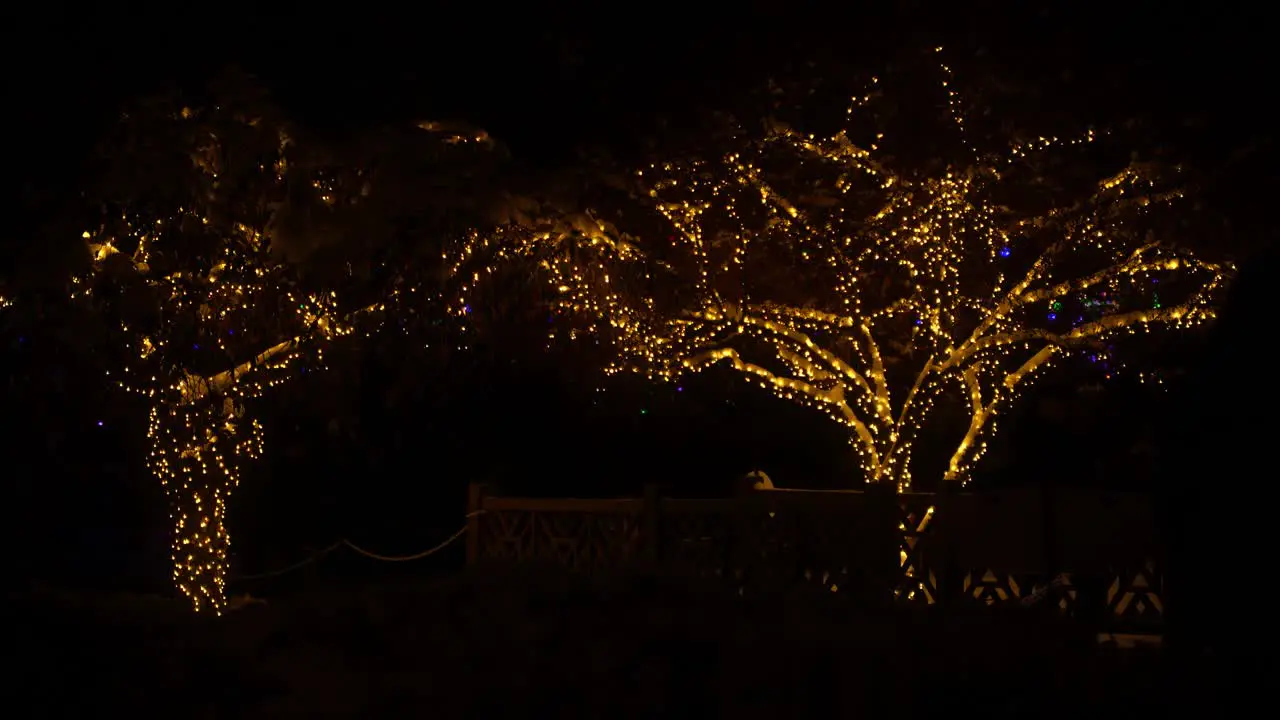 A small bridge in a park with Christmas lights in the trees and people walking by