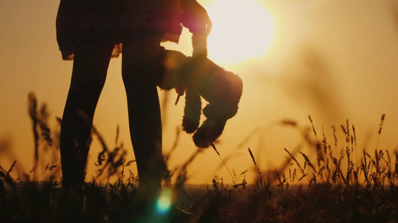 Silhouette Of A Girl With Balloons And A Teddy Bear It Is Worth The Sunset Farewell To Childhood Con