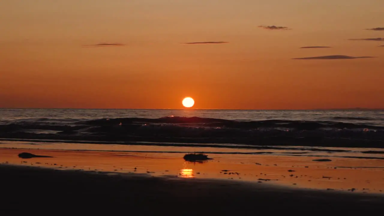 Man running with guitar in back sand beach at sunset