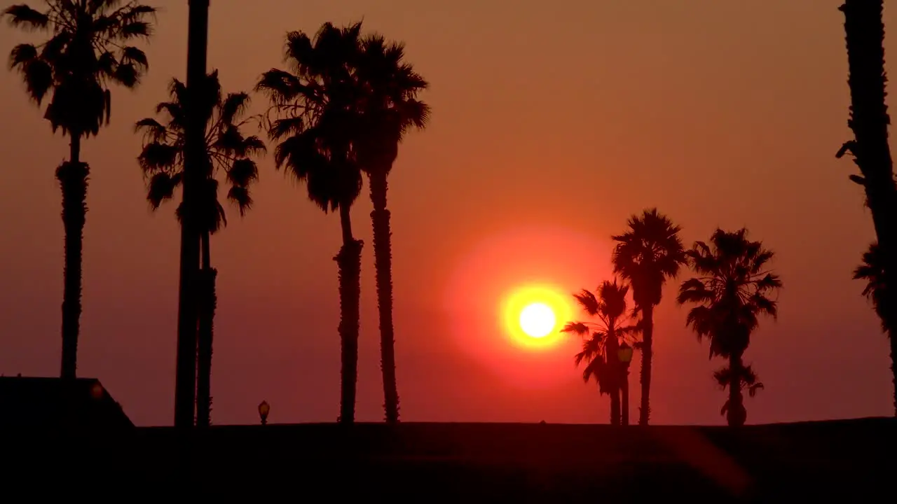 A sunset behind palm trees along a California beach