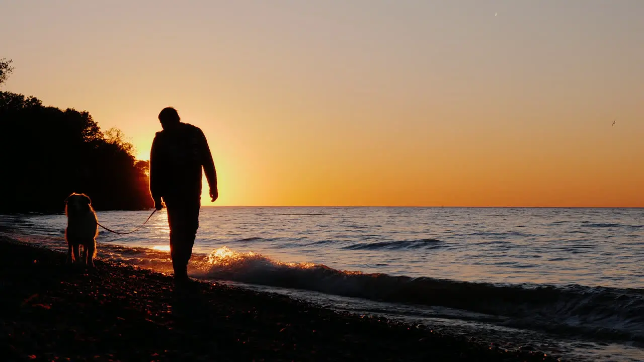 Silhouette of Man and Dog at Sunset