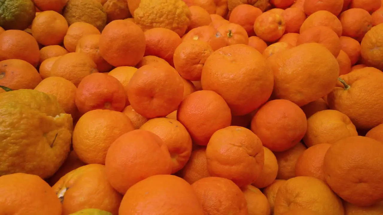 Endless sea of oranges Close Up Detail Slider Right