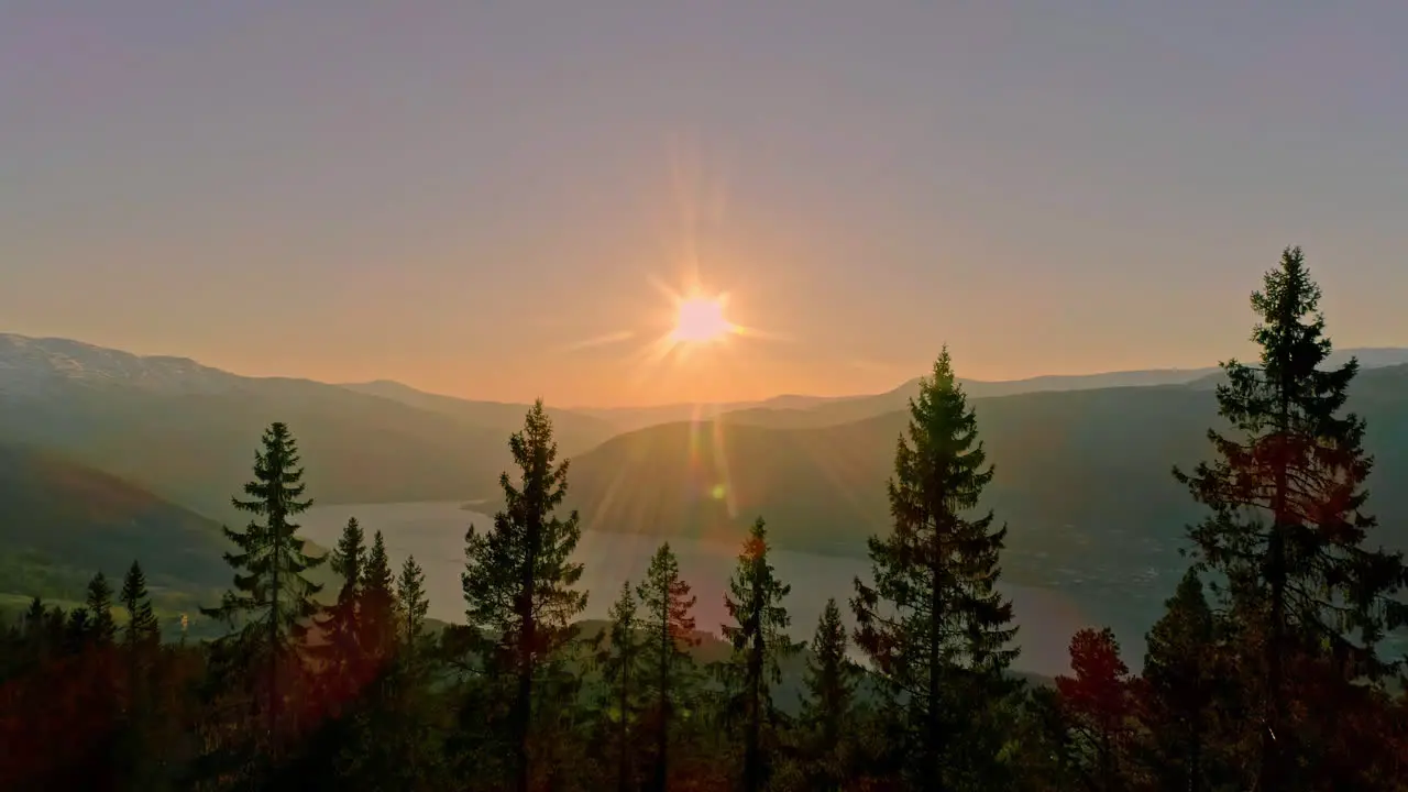 Conceptual shot flying towards the sun as trees casting shadows