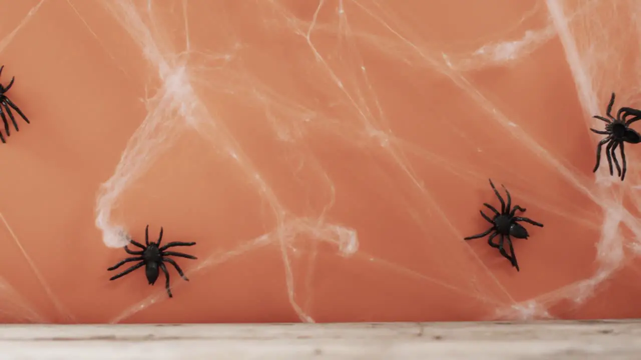 Video of halloween spiders and spider's web and copy space on orange background