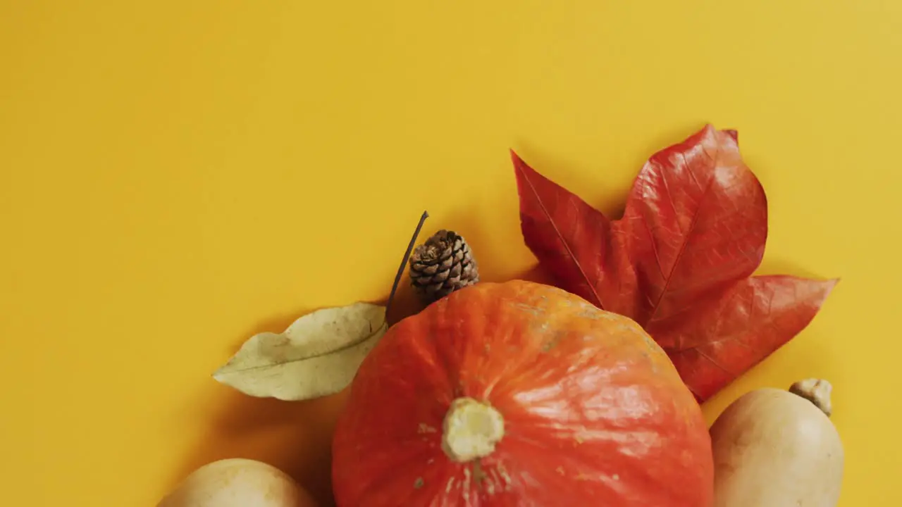 Video of pumpkins with pinecones and autumn leaves on orange background