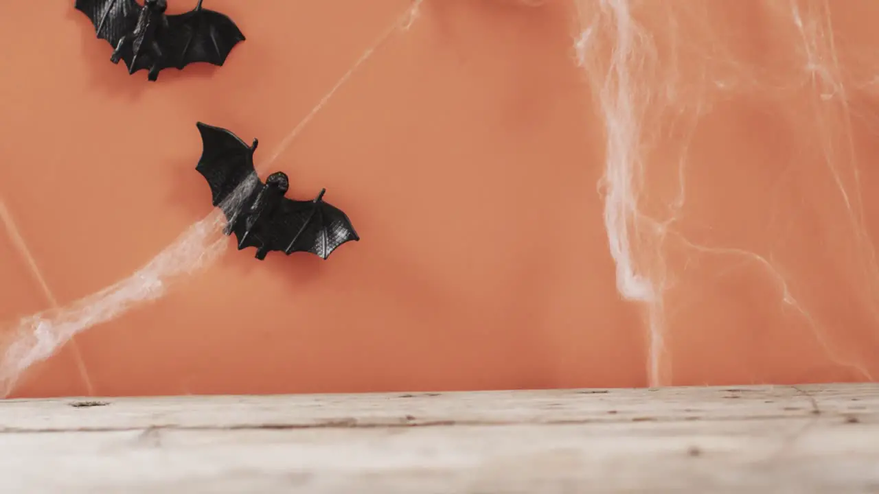 Video of halloween bats and spider's web and copy space on orange background