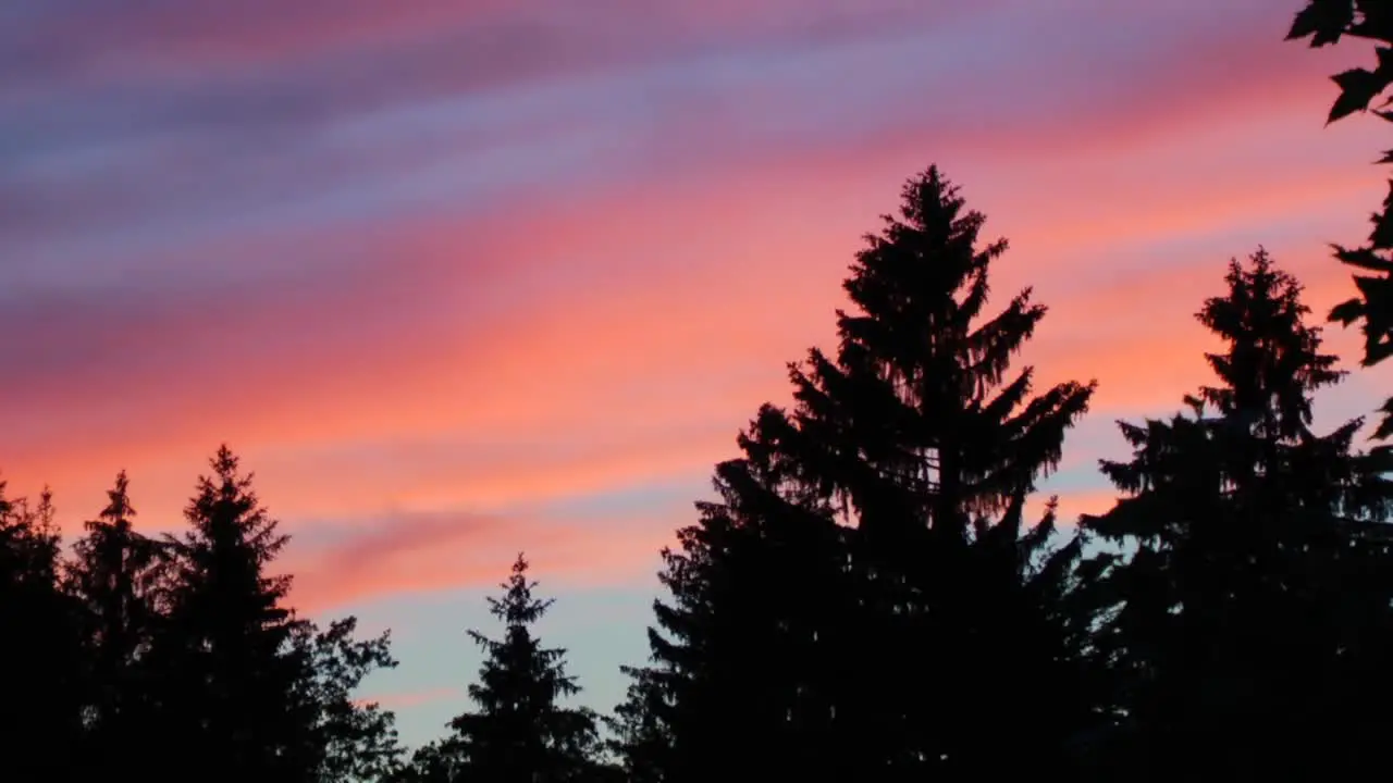 Sunset Timelapse Over Pine Trees