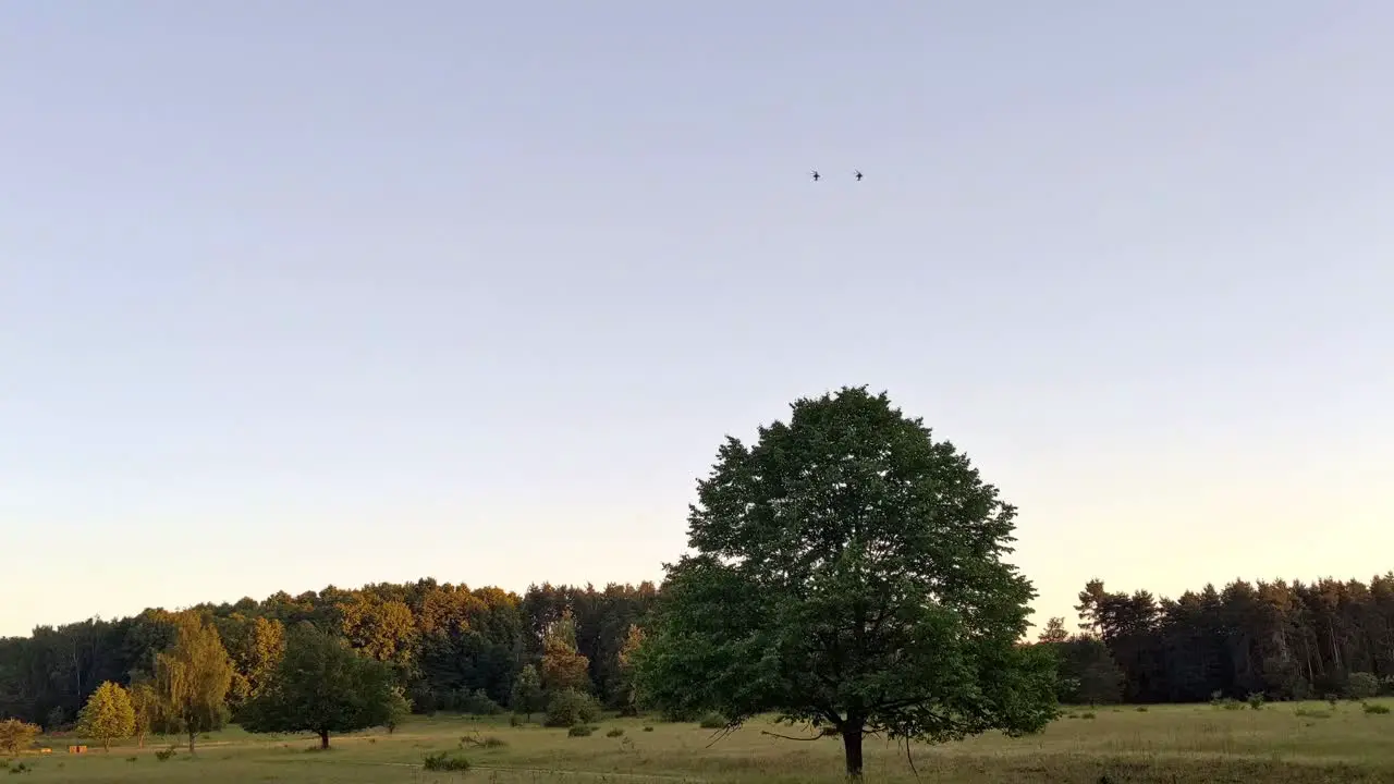 Flyover of two US Apache helicopters over German countryside in warm evening light