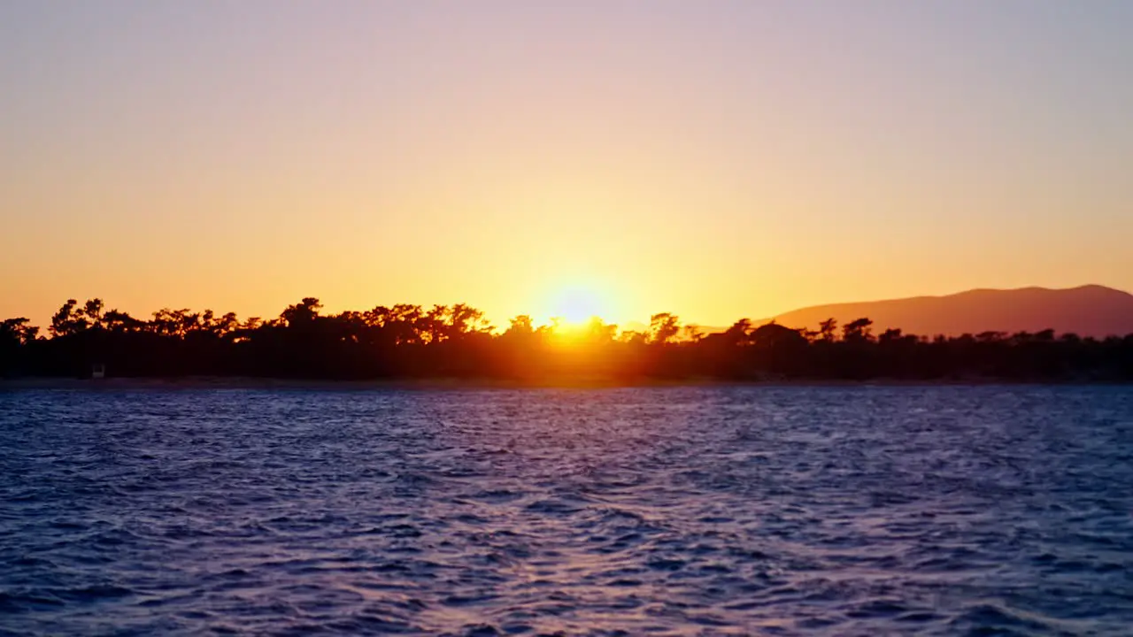 Silhouette of trees near the shore during sunset