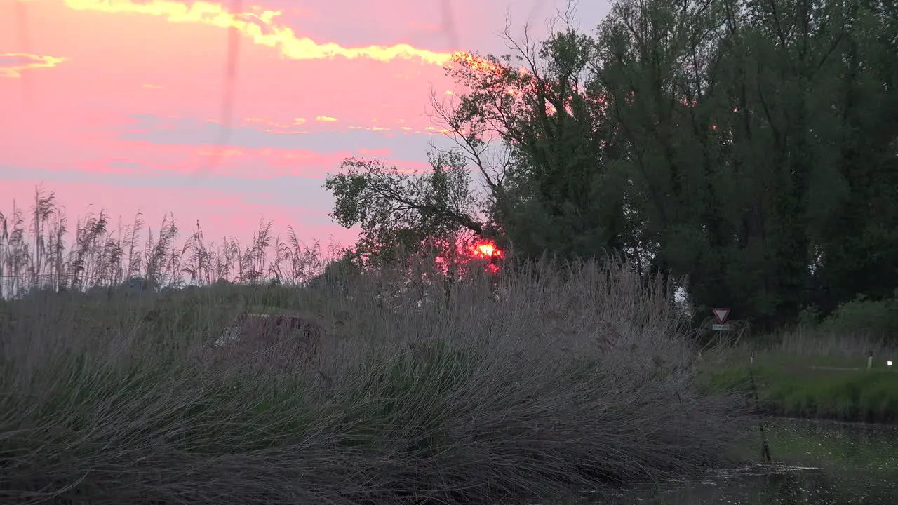 Italy Setting Sun Through Trees Zoom Out