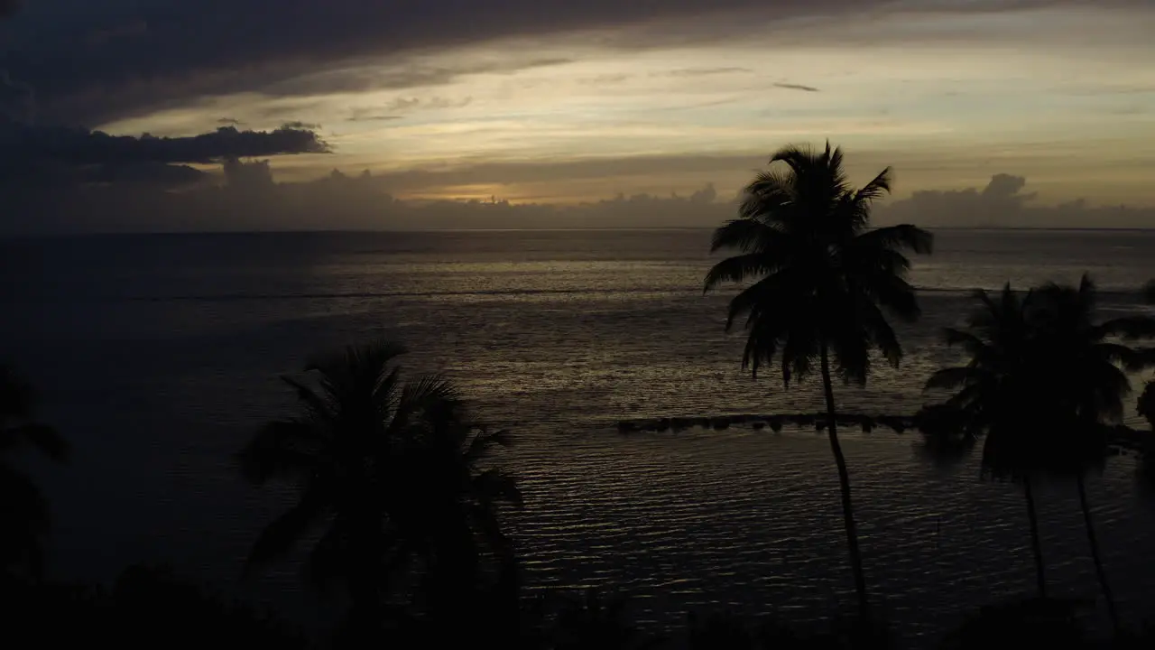 Camera dolly in shot over the luxury tropical paradise of Ostionse Beach Puerto Rico Palm trees silhouetted in the foreground