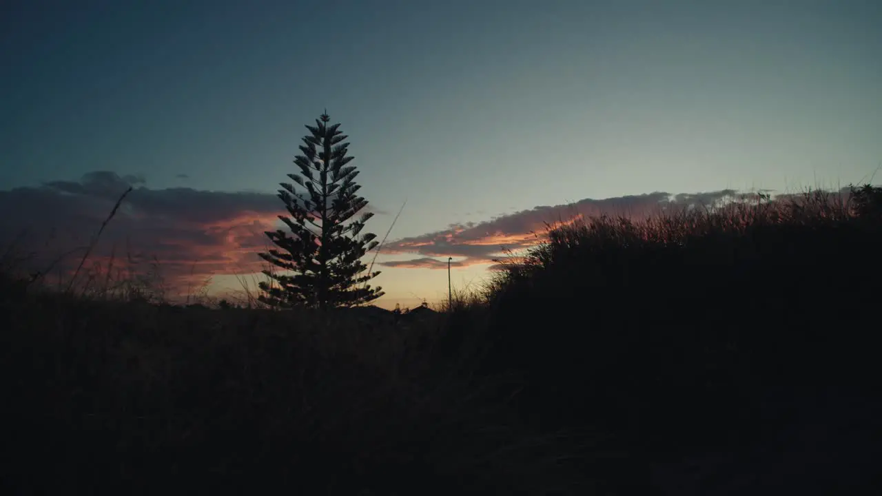 Silhouette of lonely tree on field during sunset