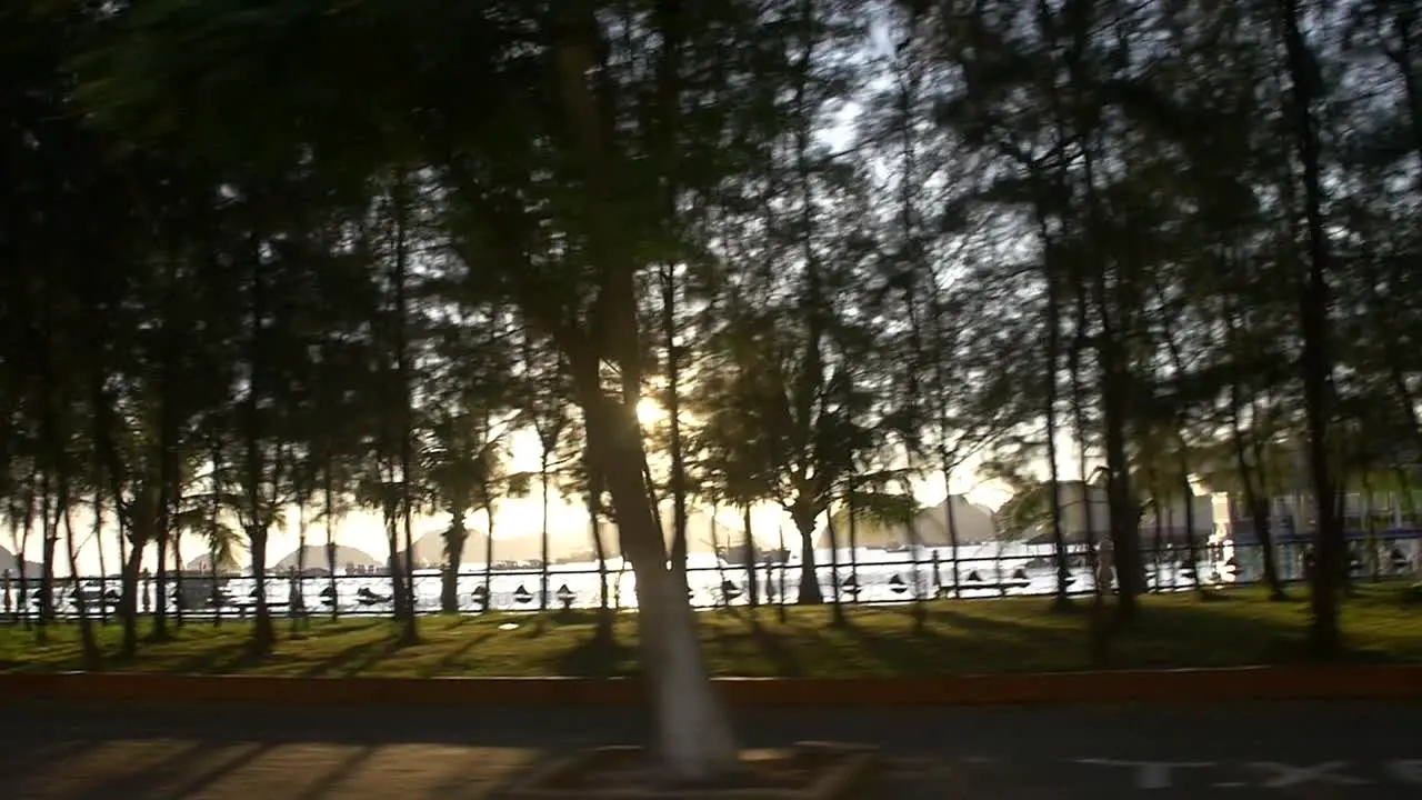 Lens Flare Through Trees Ha Long Bay