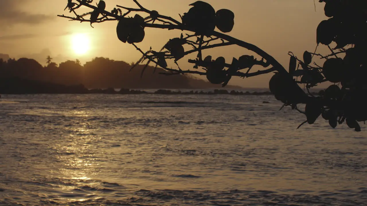 Idyllic Golden Sunrise View from Tropical Beach of Puerto Plata Coastline Ocean Waves Dominican Republic