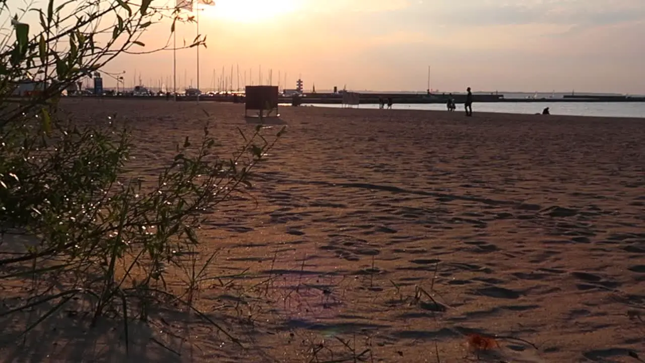 beach view at sunset close to the ground with footsteps