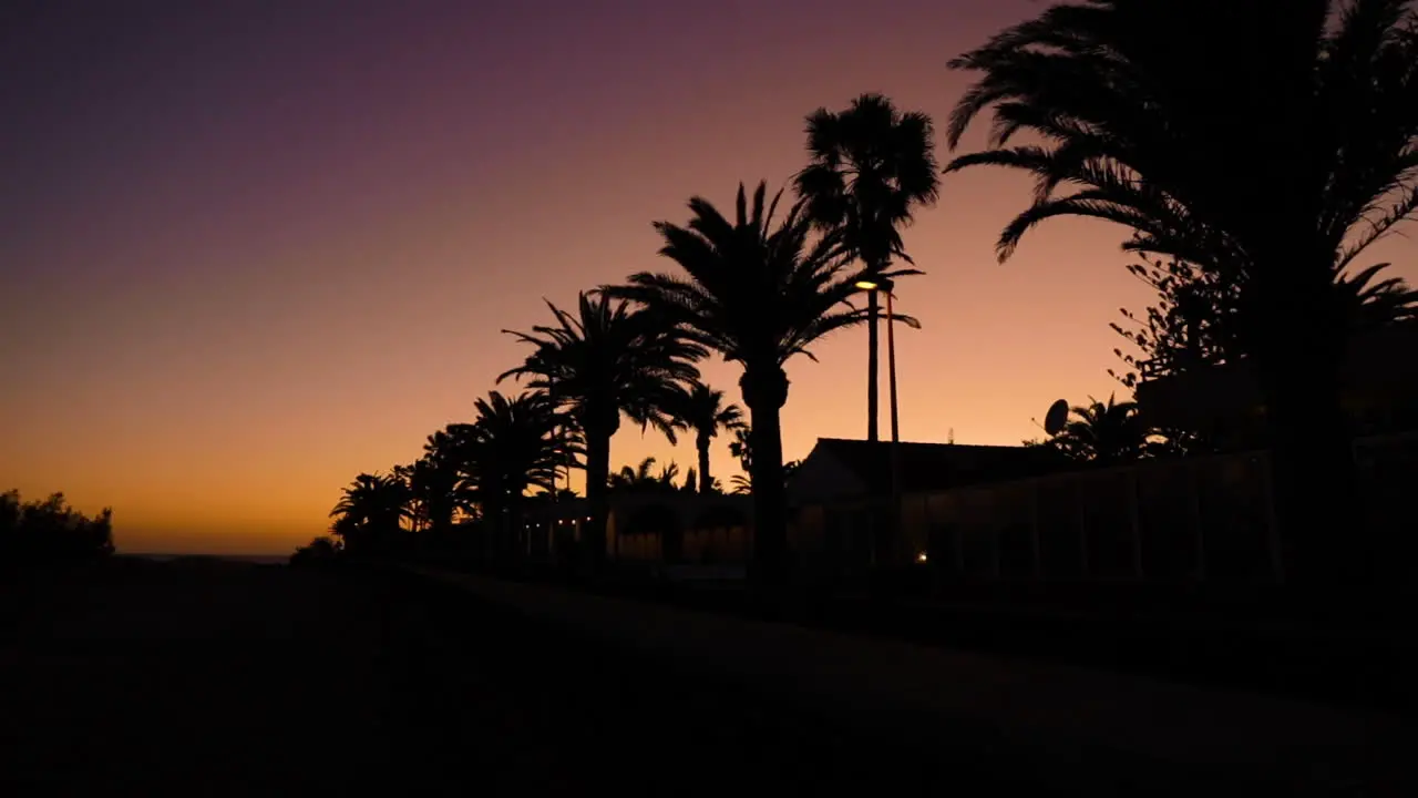 Palm trees on the beach captured during the sunset Dark background of flashing street lights and storm leaves moving in the wind captured in slow motion capture at 120fps