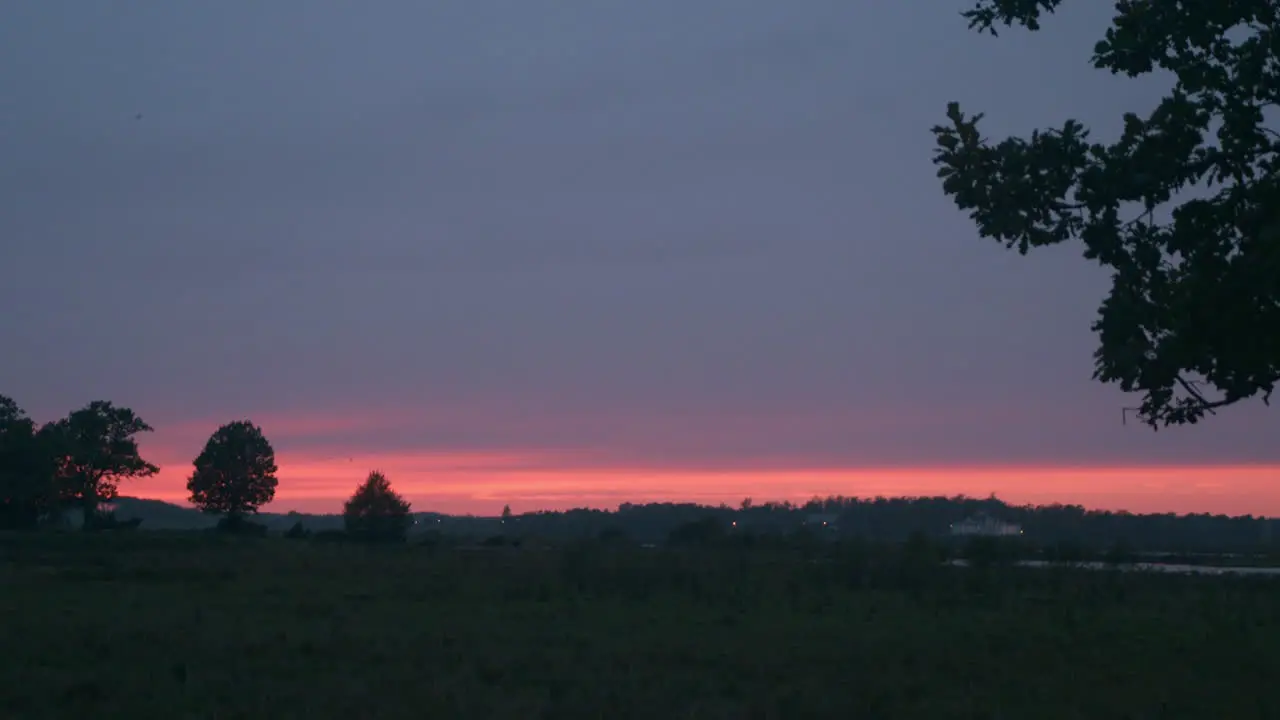 Leaves falling infront of beautiful red sunset