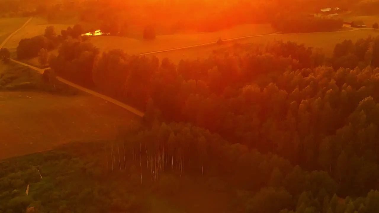 Beautiful European Forest During Sunset Aerial Retreat Pull Away