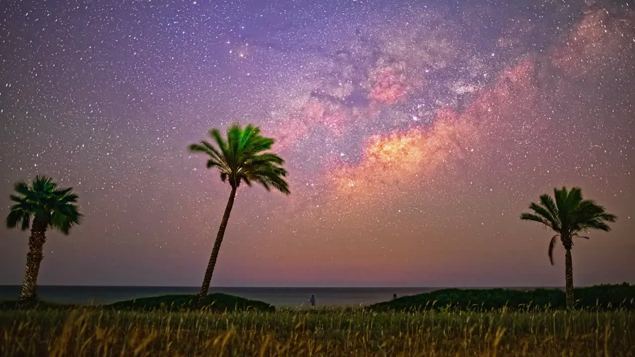 Timelapse of milkyway and beach palm trees