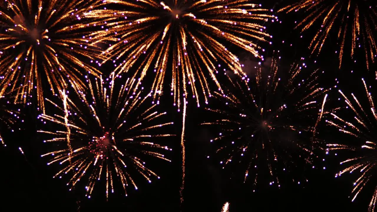 Night sky with beautiful explosions during grand fireworks festival