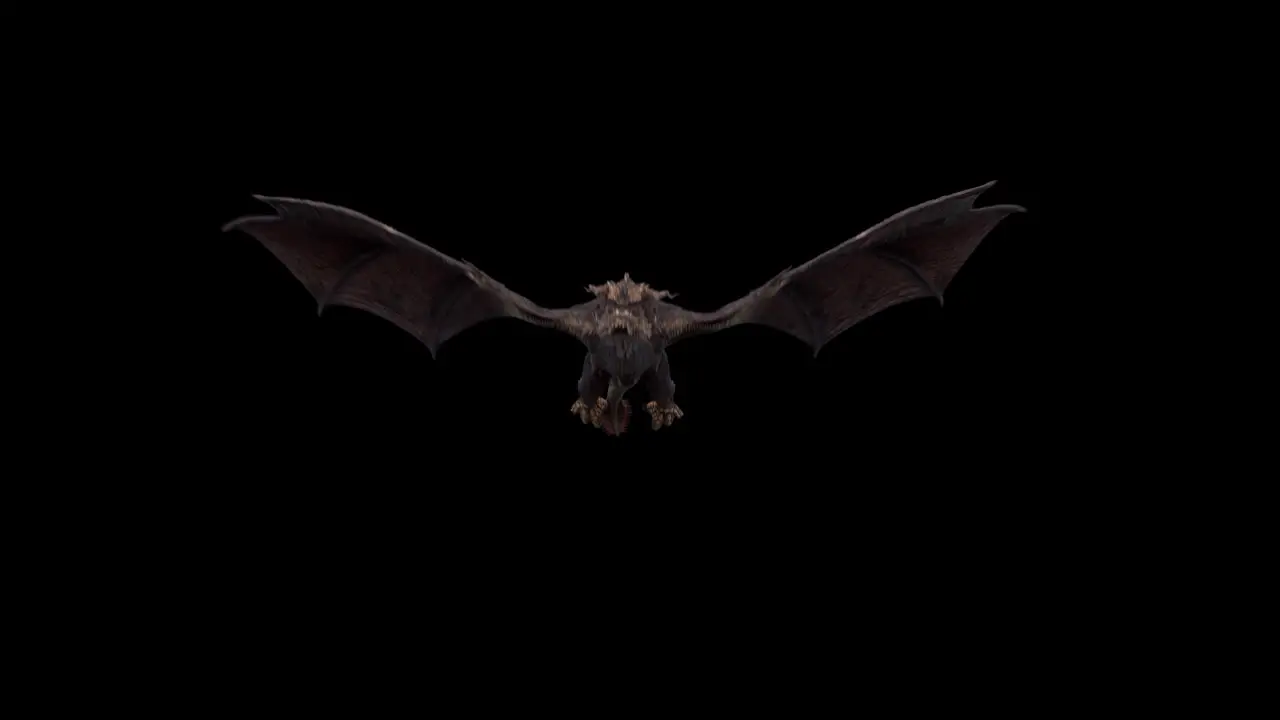 Realistic dragon flying towards camera on black background