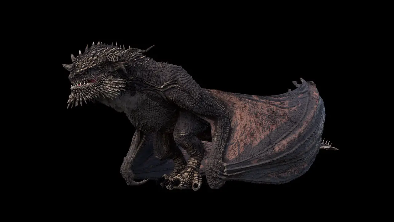 Realistic dragon flying standing idle on black background