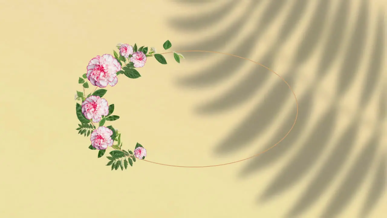 Animation of flowers and shapes with copy space over shadow of leaves