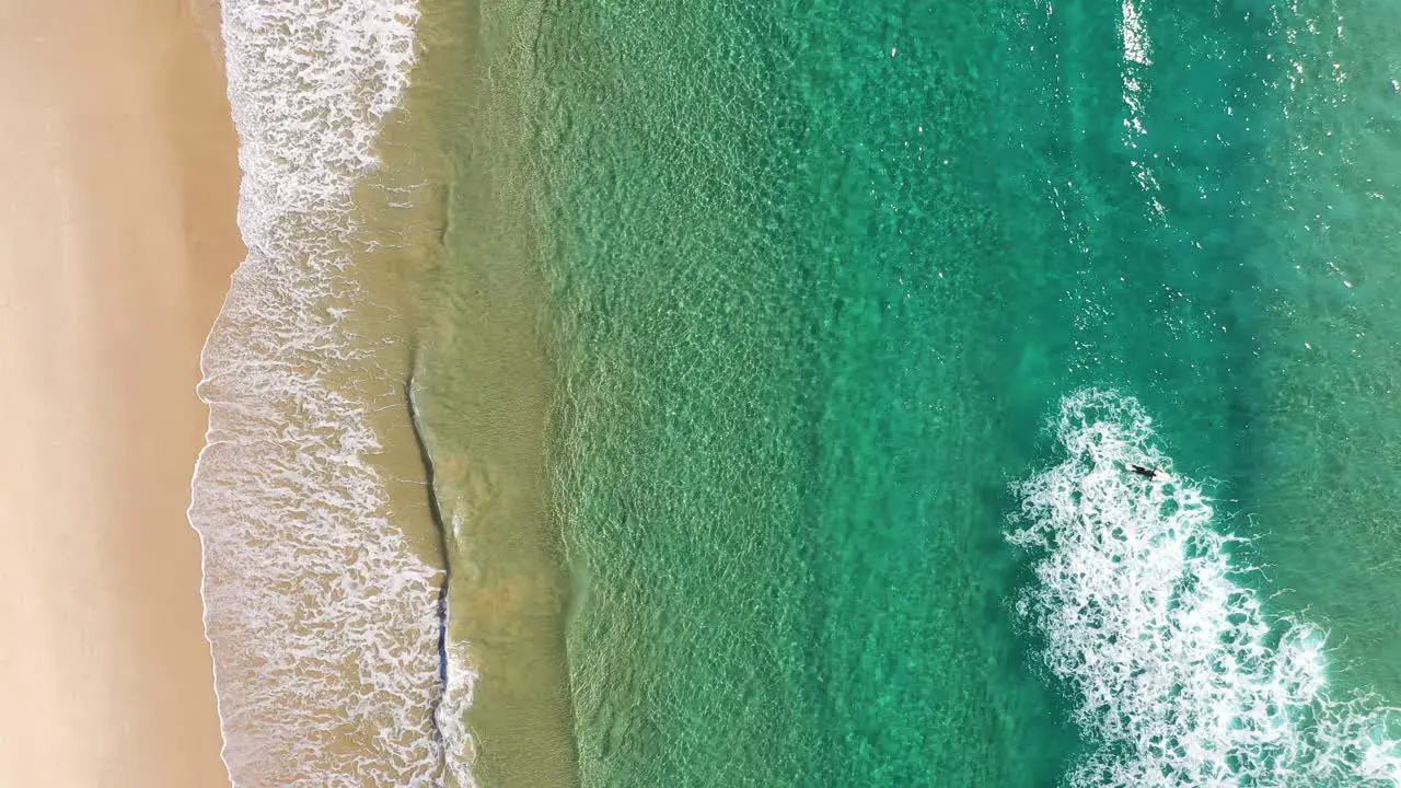 4k Static drone shot of a surfer heading out to catch a big wave in the beautiful turquoise sea water at Byron Bay Australia