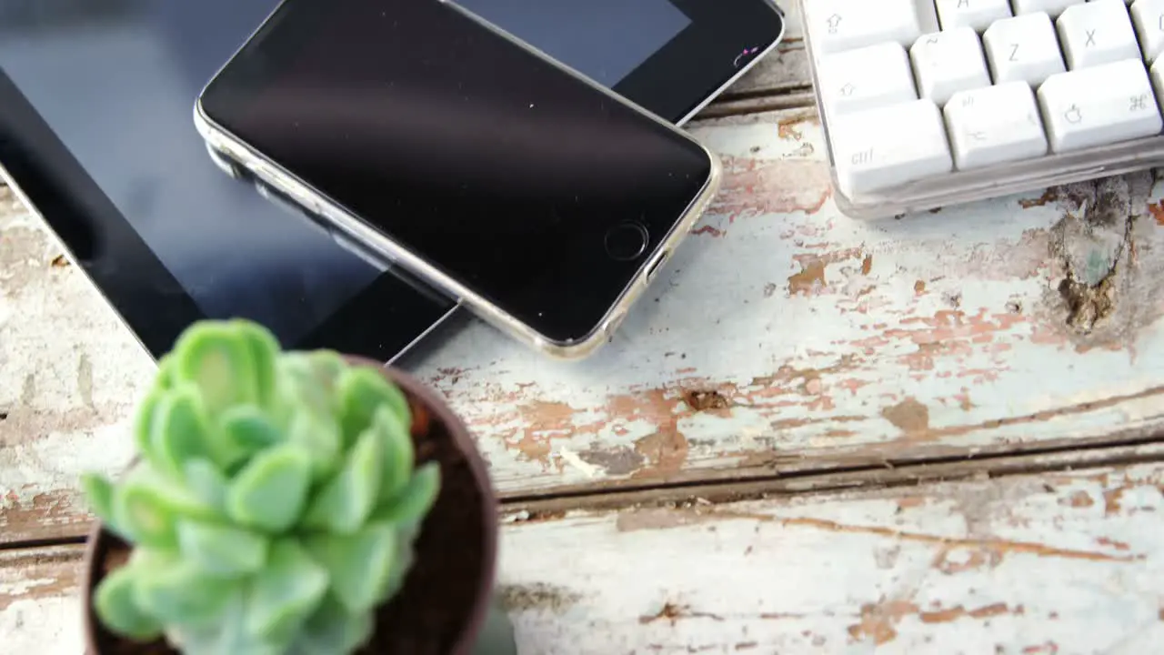 Digital tablet mobile phone pot plant on wooden plank