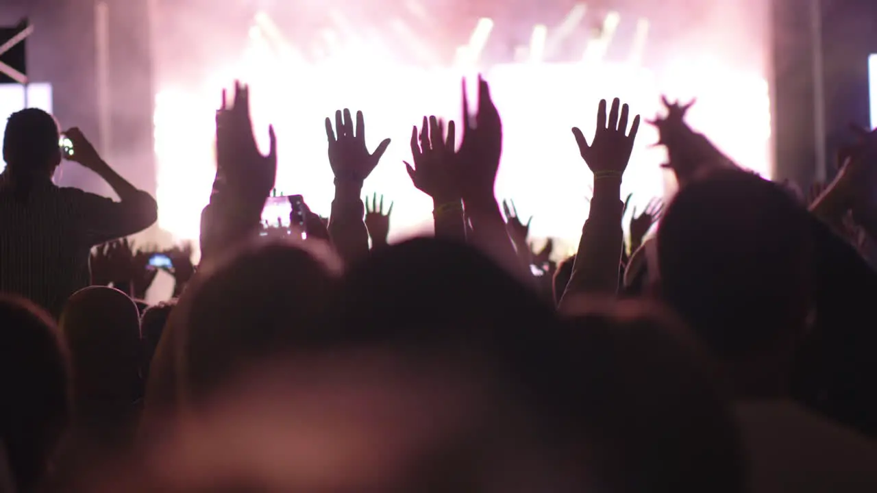 A happy crowd on an open air concert