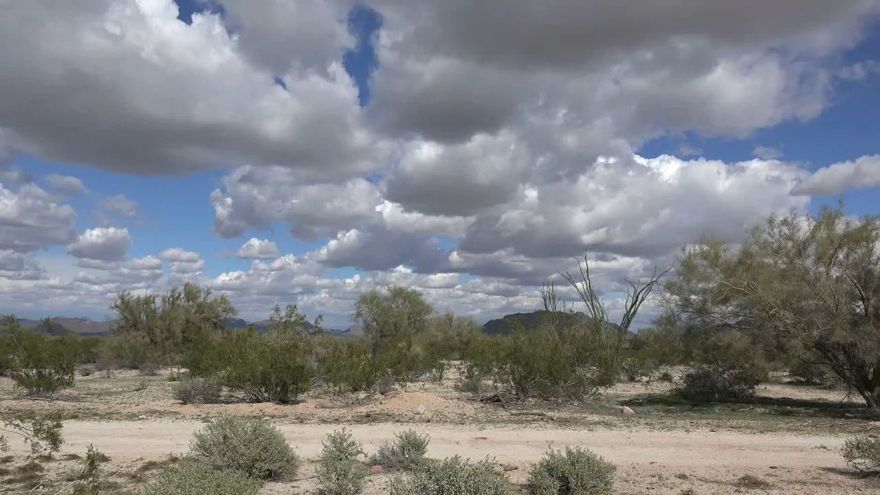 Arizona Clouds Over Desert Shrubs