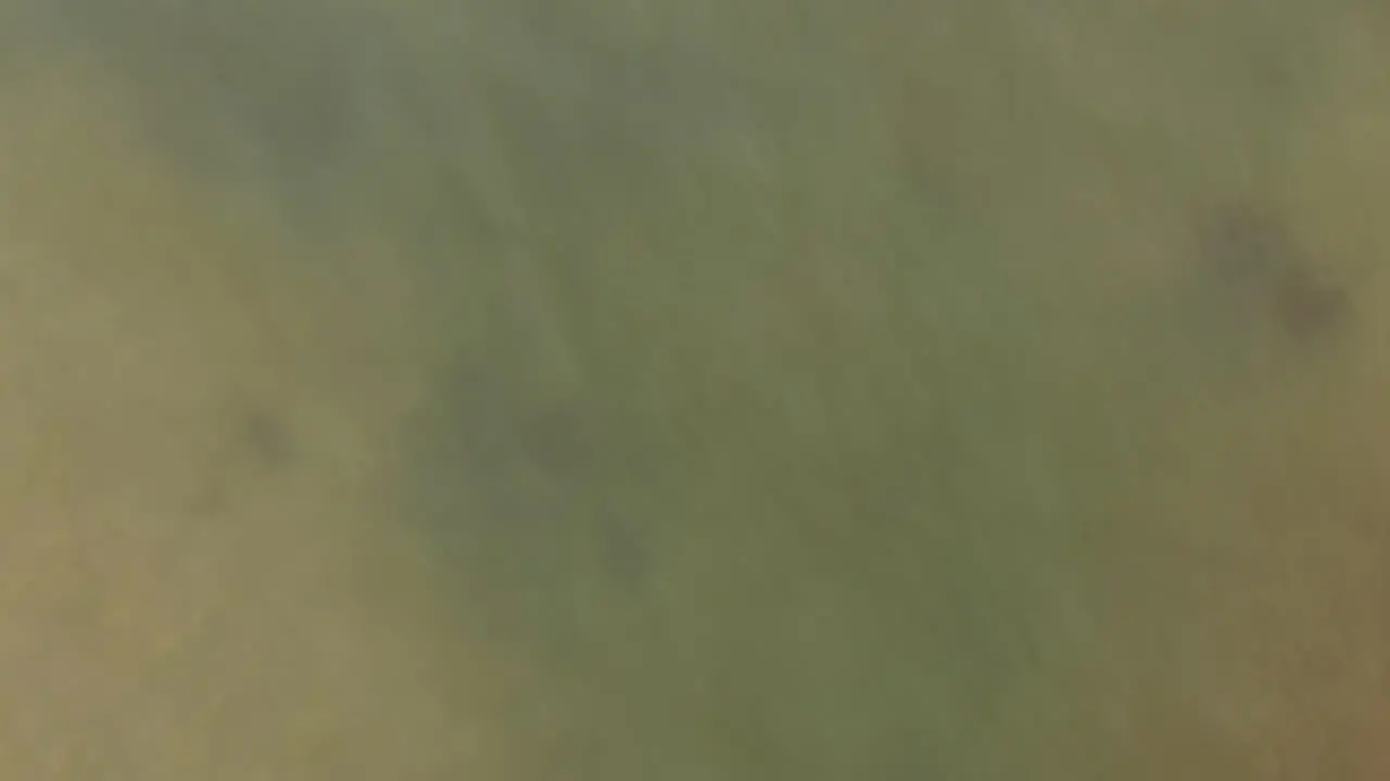 Aerial view of murky water looking straight down from the drone