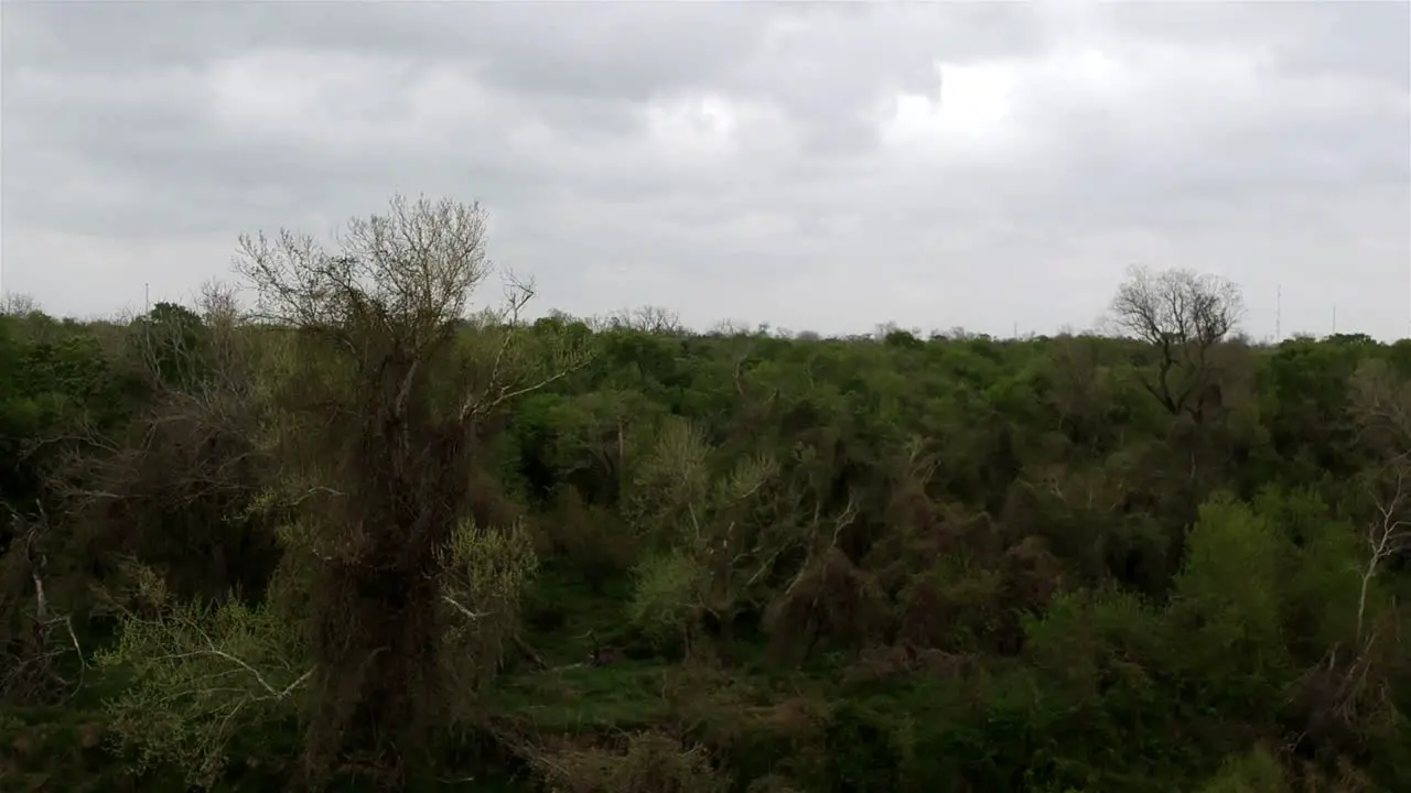 descending in a tree