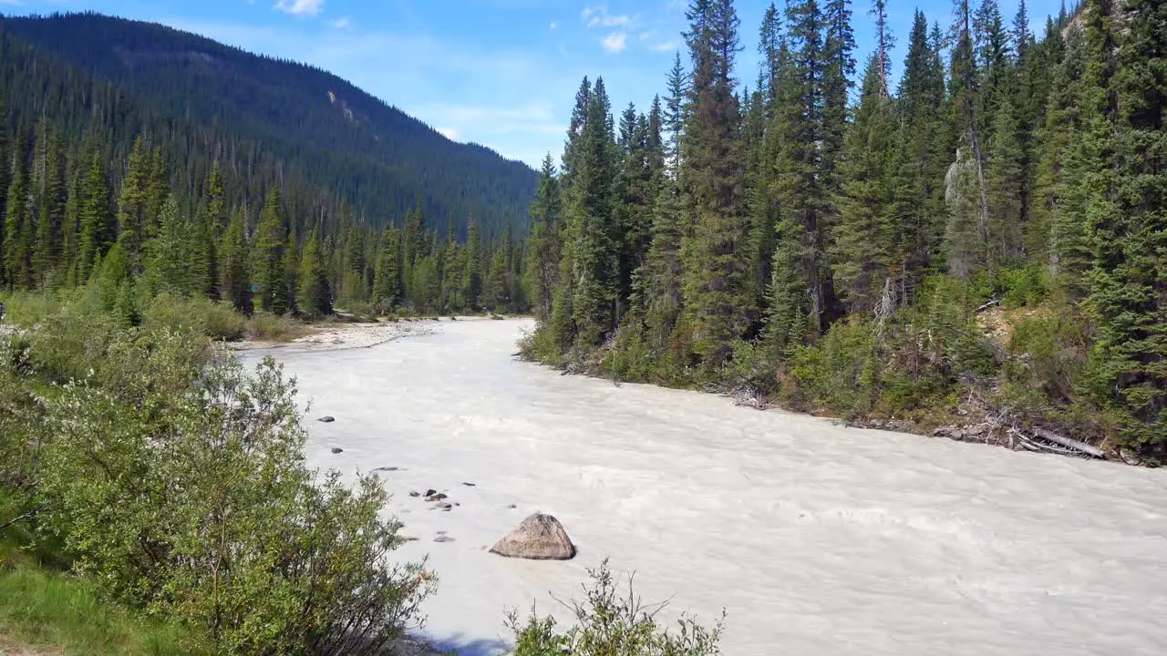 POV White river from Takakkaw Water Falls in Banff national park Alberta Canada- Summer river from rockie mountain among pine tree forest