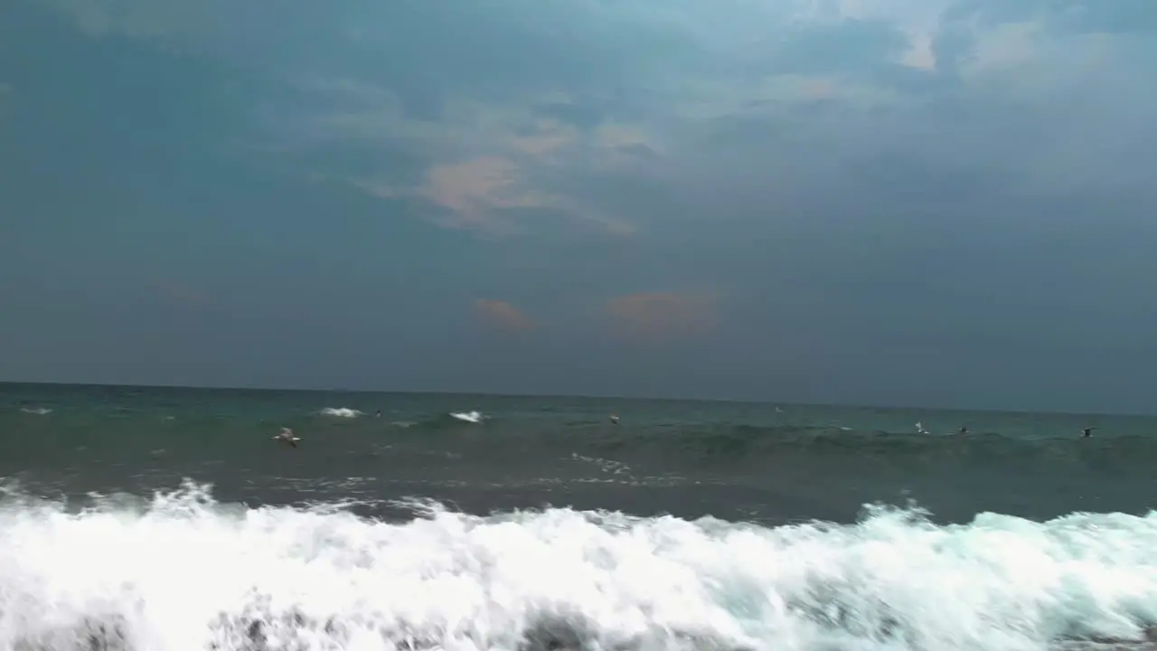 Seagulls flying very close to the sea waves in cloudy day in Sozopol Bulgaria