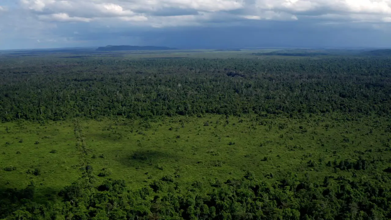 Panoramic View of Borneo Jungle in Malaysia in Stormy Weather With Thunderstorm and Lightning in Horizon