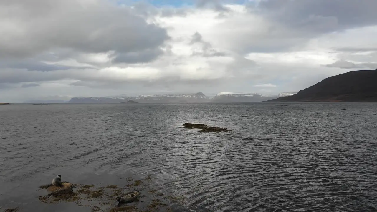 Sensational wide drone view of Icelandic panorama with seals in foreground day