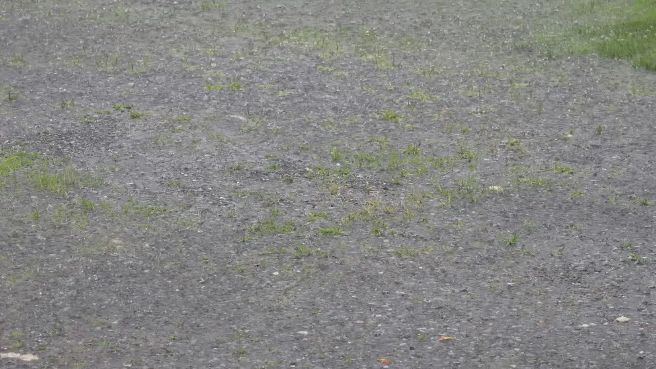 Lots of raindrops splashing on the pavement during a heavy downpour