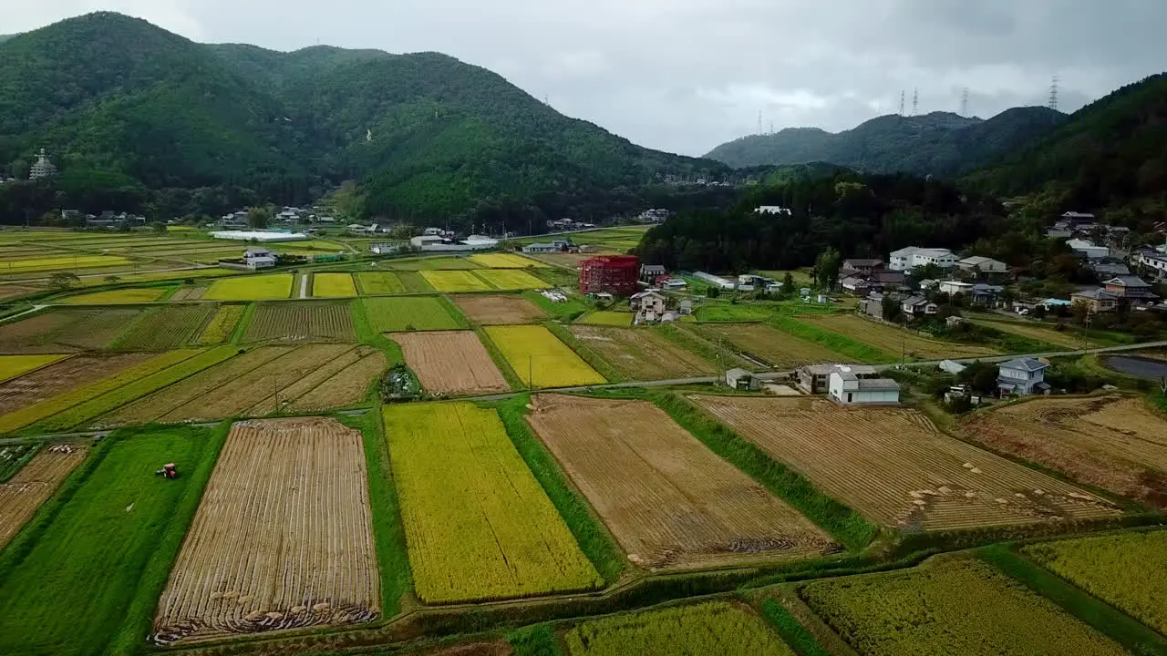 Sake Rice Fields in Winter Japan