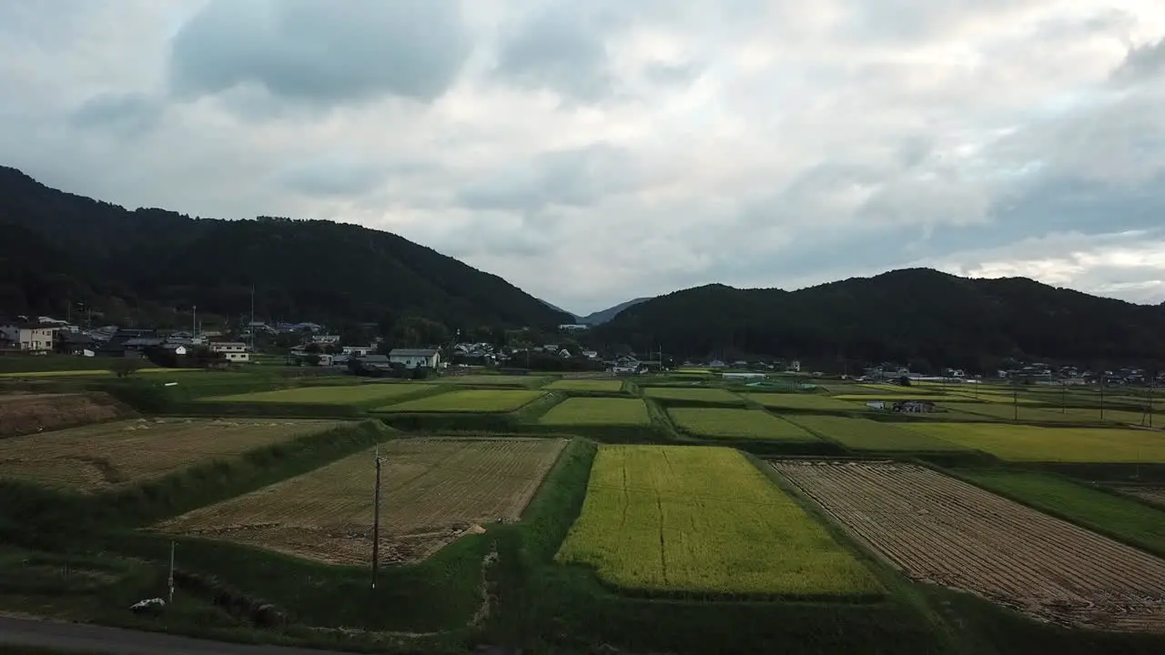 Sake Rice Fields in Rural Japan