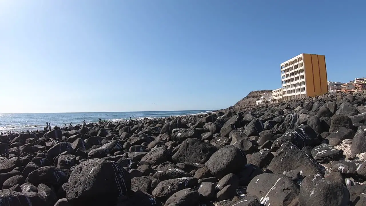 Pan from a resort hotel at Rocky Point Mexico to the coastline covered with volcanic rock and pelicans