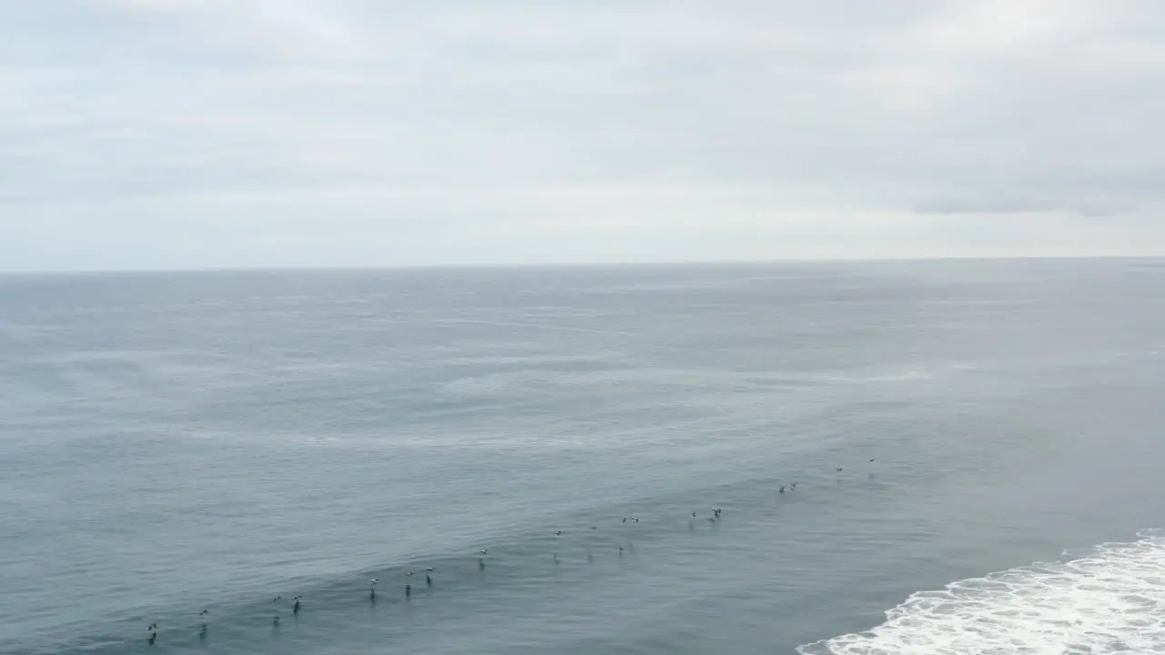 Cinematic drone shot of birds flying over the ocean